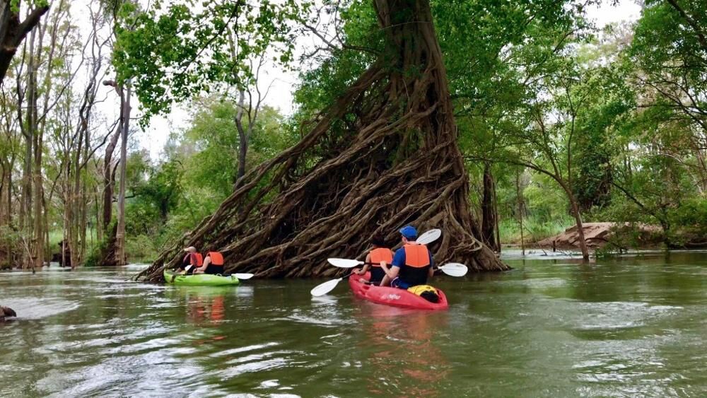 Immerse in Stung Treng’s lush natural heritage